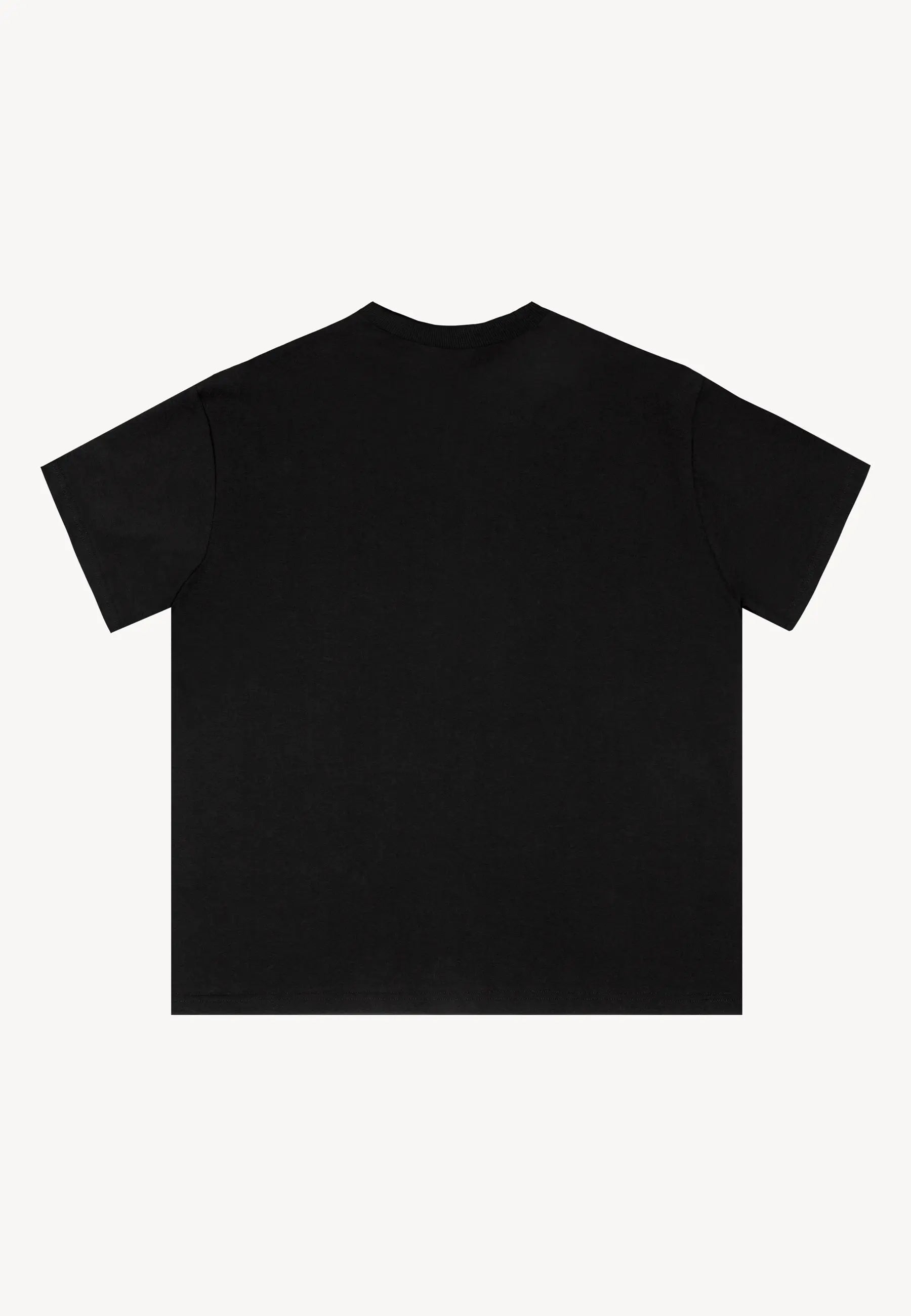 Tył czarnego bawełnianego T-shirtu TISHAL.
